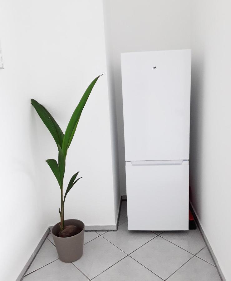 Schoene, Ruhige Zweiraumwohnung Im Angesagten Altlindenau Leipzig Buitenkant foto